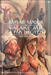 a könyv borítója