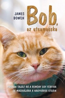 a könyv borítója