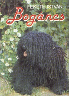 a könyv borítója