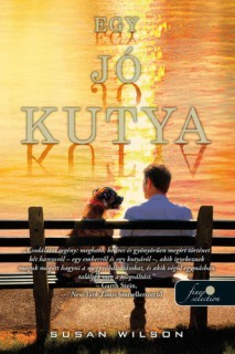 a könyv borítója