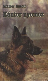 a könyv borítója