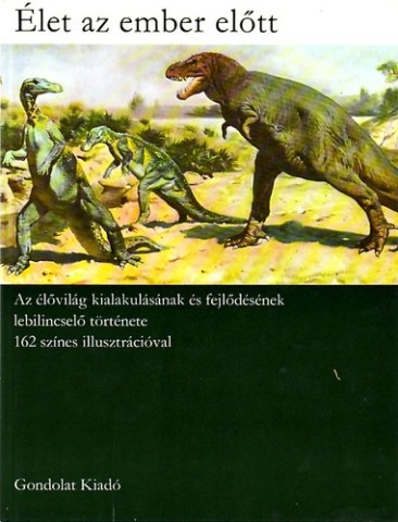 a könyv borítója