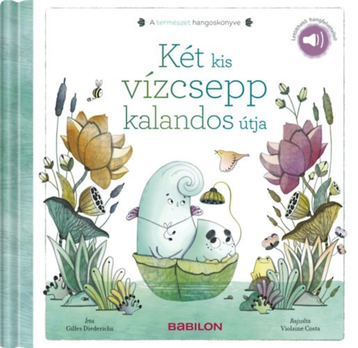 a könyv borítója