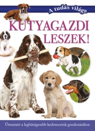 a könyv borítója