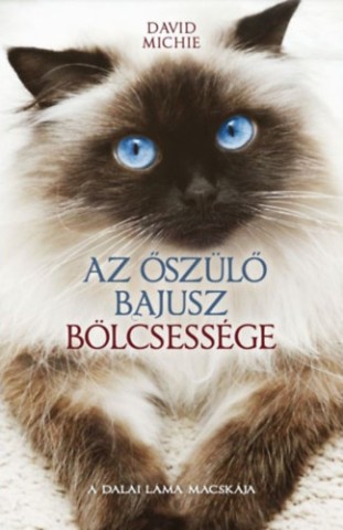 a könyv borítója