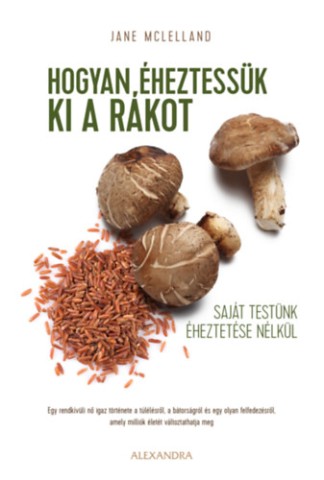 a könyv borítója