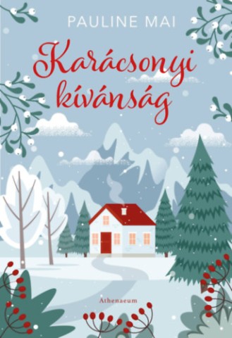 a könyv borítója
