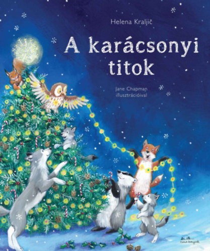 a könyv borítója