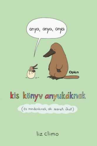 a könyv borítója