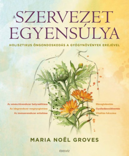 A könyv borítója