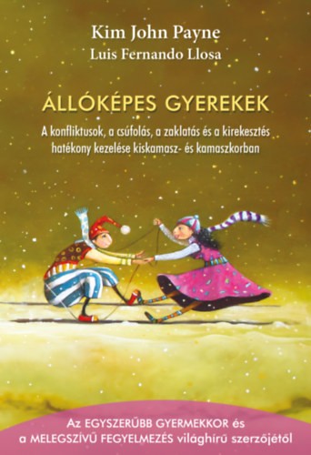 A könyv borítója