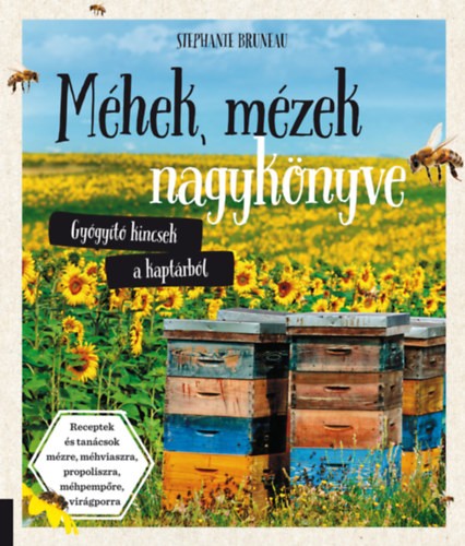A könyv borítója