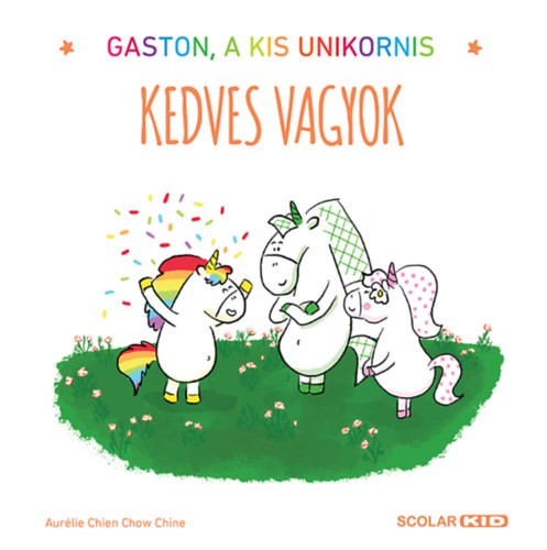 A könyv borítója