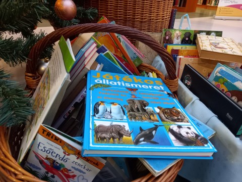 Téma szerint szétválogatott könyvek a kosárban.