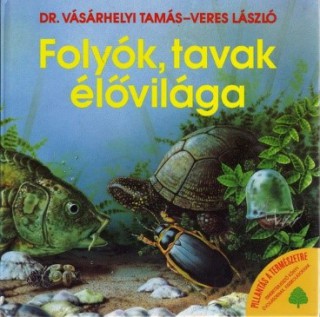 A könyv borítója