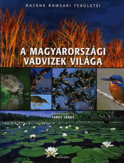 A könyv borítója