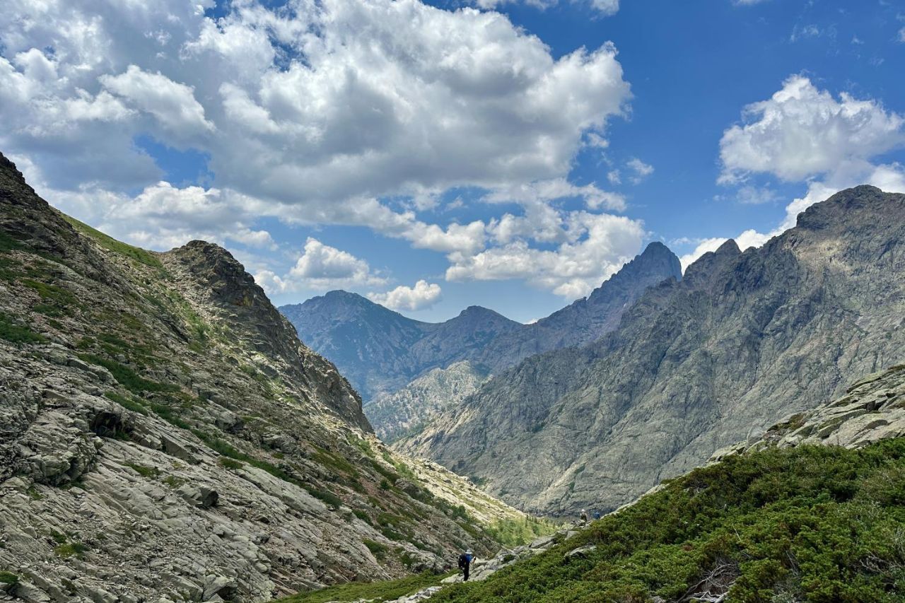 Nyáridéző a könyvtárban